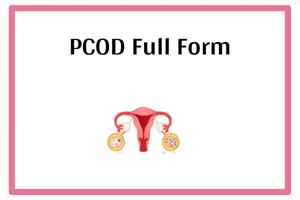 PCOD Full Form In Marathi