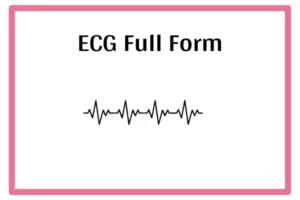 ECG Full Form In Marathi
