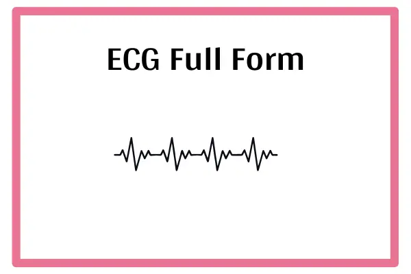 ECG Full Form In Marathi