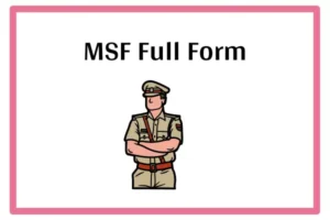 MSF Full Form In Marathi